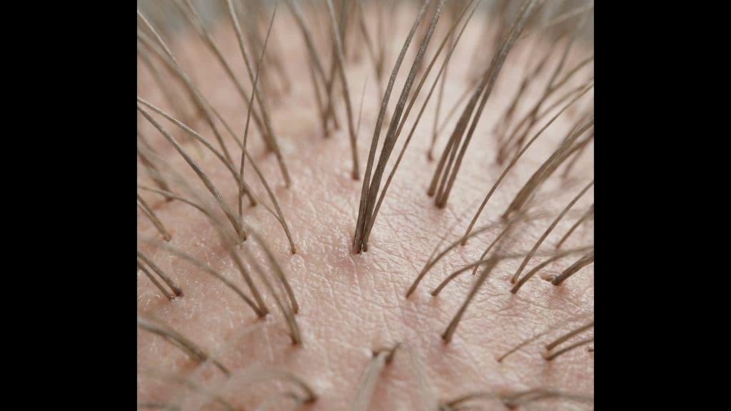 JB Scalp Wellness Day Trip from Singapore — A Complete Itinerary